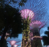 新加坡留学的想象和现实